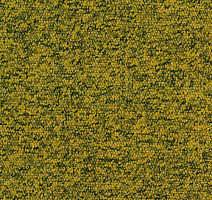 Ковровая плитка Desso Tempra 6203 фото 1 | FLOORDEALER