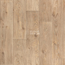 Линолеум Tarkett Premium Raymond 1 фото 1 | FLOORDEALER