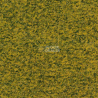 Ковровая плитка Desso Tempra 6203 фото 1 | FLOORDEALER