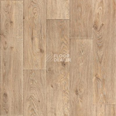 Линолеум Tarkett Premium Raymond 1 фото 1 | FLOORDEALER