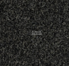 Грязезащитные покрытия Forbo Coral в плитке свободной укладки 5721 Hurricane Grey фото 1 | FLOORDEALER