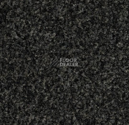 Грязезащитные покрытия Forbo Coral в плитке свободной укладки 5721 Hurricane Grey фото 1 | FLOORDEALER