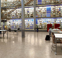 Forbo Eternal Original