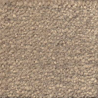 Ковролин Emphatic Beaulieu of America 56510 фото 1 | FLOORDEALER