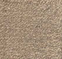 Ковролин Emphatic Beaulieu of America 56510 фото 1 | FLOORDEALER