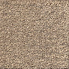 Ковролин Emphatic Beaulieu of America 56510 фото 1 | FLOORDEALER