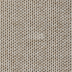 Ковролин Carpet Concept Eco Zen 280005 - 40081 фото 1 | FLOORDEALER