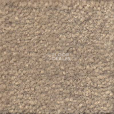 Ковролин Emphatic Beaulieu of America 56510 фото 1 | FLOORDEALER
