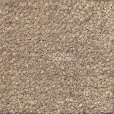 Ковролин Emphatic Beaulieu of America 56510 фото 1 | FLOORDEALER