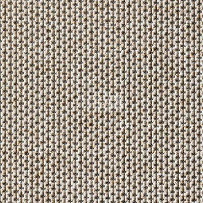 Ковролин Carpet Concept Eco Zen 280005 - 40081 фото 1 | FLOORDEALER