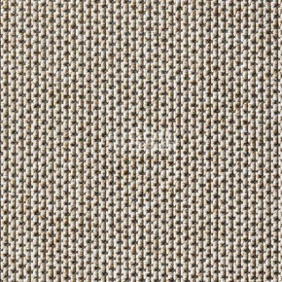 Ковролин Carpet Concept Eco Zen 280005 - 40081 фото 1 | FLOORDEALER