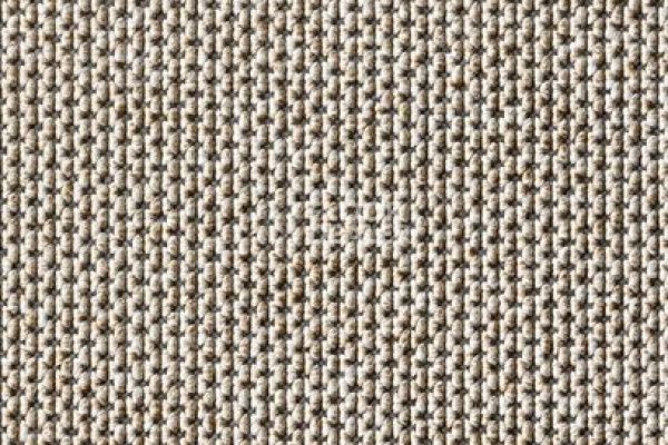 Ковролин Carpet Concept Eco Zen 280005_40081 фото 1 | FLOORDEALER