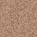 Ковролин Balsan First Class 720  | FLOORDEALER