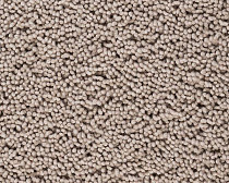 Ковролин Best Wool Pure Palace Lux 170 фото 1 | FLOORDEALER