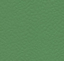 Линолеум Recreation 60 Uni 6556_Verde фото 1 | FLOORDEALER