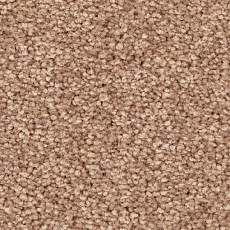 Ковролин Balsan First Class 720 фото 1 | FLOORDEALER