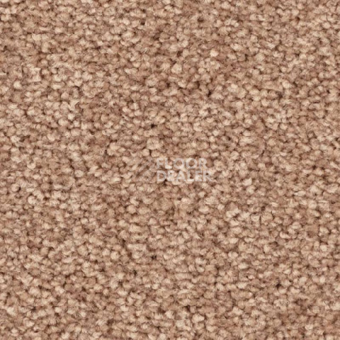 Ковролин Balsan First Class 720 фото 1 | FLOORDEALER