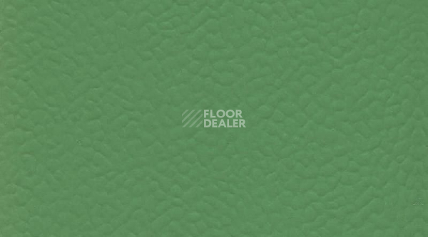 Линолеум Recreation 60 Uni 6556_Verde фото 1 | FLOORDEALER