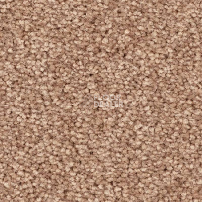 Ковролин Balsan First Class 720 фото 1 | FLOORDEALER