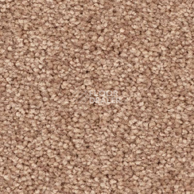 Ковролин Balsan First Class 720 фото 1 | FLOORDEALER