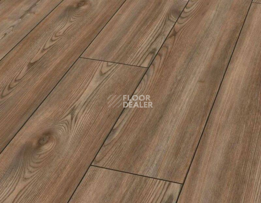 Ламинат Villeroy & Boch Cosmopolitan vb828v Sunrise Elm фото 1 | FLOORDEALER