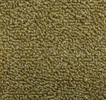 Нева Тафт Астра