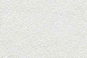 Ковролин Balta Salina 30 фото  | FLOORDEALER