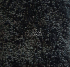 Ковролин Condor Carpets Dynasty 93 фото 1 | FLOORDEALER