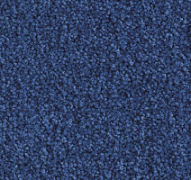 Ковролин Balsan Scenario 180 фото 1 | FLOORDEALER