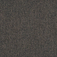 Ковровая плитка Tarkett Sky Original Sky 39586 фото 1 | FLOORDEALER