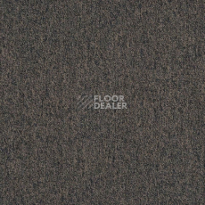 Ковровая плитка Tarkett Sky Original Sky 39586 фото 1 | FLOORDEALER