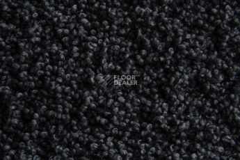 AW Masquerade Lamia 97 фото 2 | FLOORDEALER