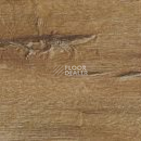 FineFloor FF-1900 Rich 1981 Дуб Гавана фото 2 | FLOORDEALER