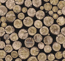 Ковролин Halbmond Pure Elements 13800 фото 1 | FLOORDEALER