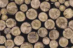 Ковролин Halbmond Pure Elements 13800 фото  | FLOORDEALER