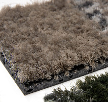 Coral Interior 1520 Desert Sand фото 5 | FLOORDEALER