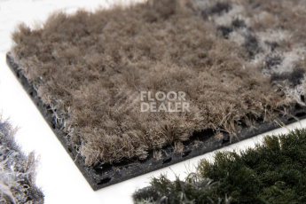 Forbo Coral Interior 1520 Desert Sand фото 5 | FLOORDEALER
