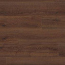 Ламинат Haro Tritty 100 Campus 4V ДУБ КОНТУРА ДЫМЧАТЫЙ 541540  | FLOORDEALER