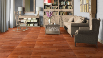 Tarkett Premium Ancora 2 фото 2 | FLOORDEALER