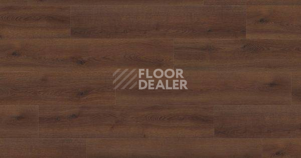 Ламинат Haro Tritty 100 Campus 4V ДУБ КОНТУРА ДЫМЧАТЫЙ 541540 фото 1 | FLOORDEALER