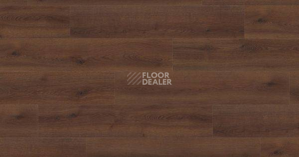 Ламинат Haro Tritty 100 Campus 4V ДУБ КОНТУРА ДЫМЧАТЫЙ 541540 фото 1 | FLOORDEALER