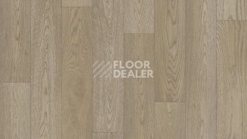 Линолеум Tarkett Gladiator Calvados 1 фото 1 | FLOORDEALER