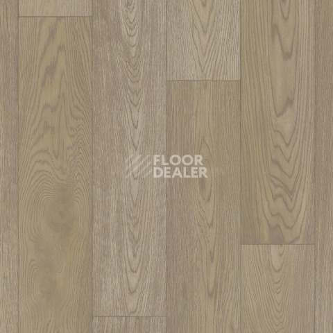Линолеум Tarkett Gladiator Calvados 1 фото 1 | FLOORDEALER