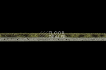 Forbo Flotex Colour Metro 5050 t 546021 Metro Moss фото 3 | FLOORDEALER