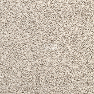 Ковролин Balta Wild Luxury Winnie 49 фото 1 | FLOORDEALER