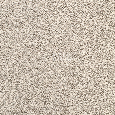 Ковролин Balta Wild Luxury Winnie 49 фото 1 | FLOORDEALER