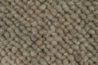 Creatuft Alfa Alfa 40 фото 3 | FLOORDEALER