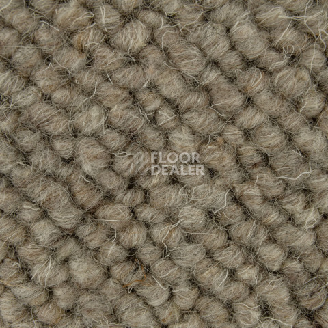 Creatuft Alfa Alfa 40 фото 3 | FLOORDEALER