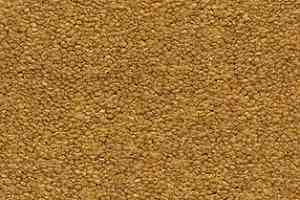 Ковролин AW The Velvet Oreade 54 фото  | FLOORDEALER