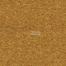 Ковролин AW The Velvet Oreade 54 фото 1 | FLOORDEALER